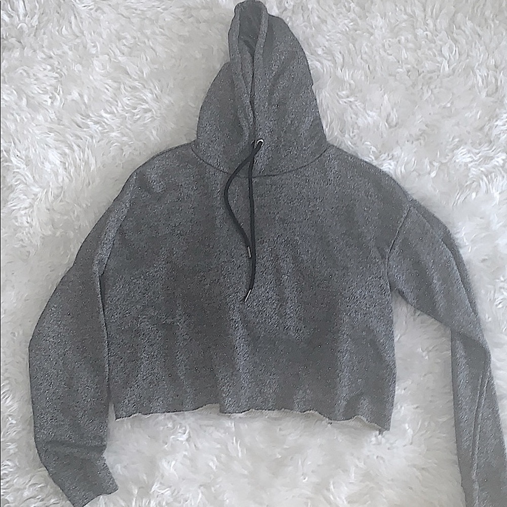 Sparkly Grey CROP-TOP Hoodie
